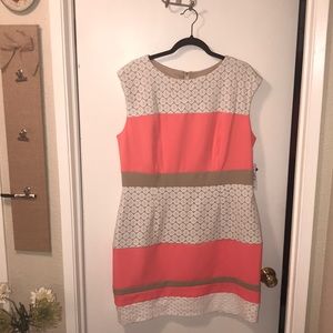 NWT dress. Size18